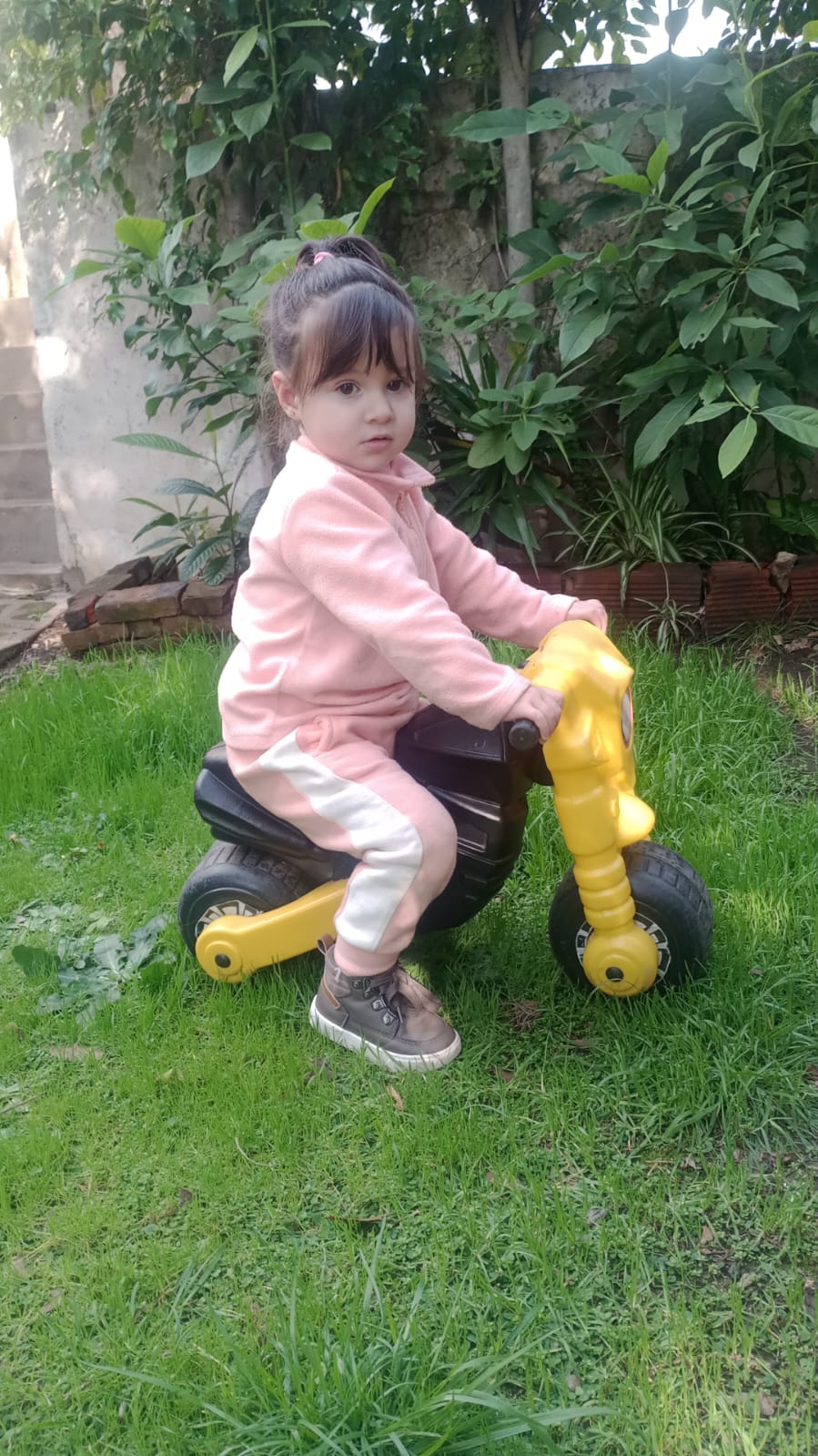 WhatsApp Image 2026-08-03 at 12.37.20 AM.jpeg